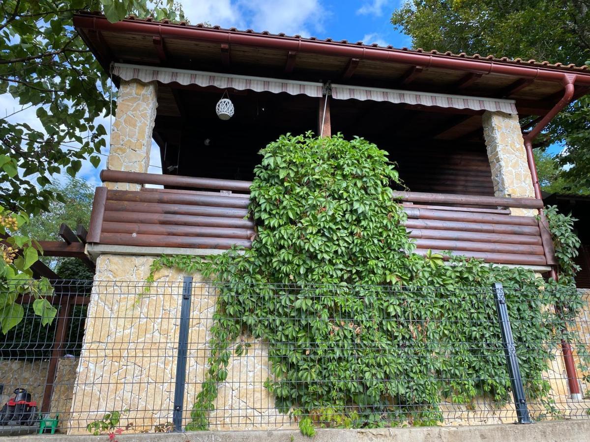 4Trees Holiday House 斯诺基 外观 照片