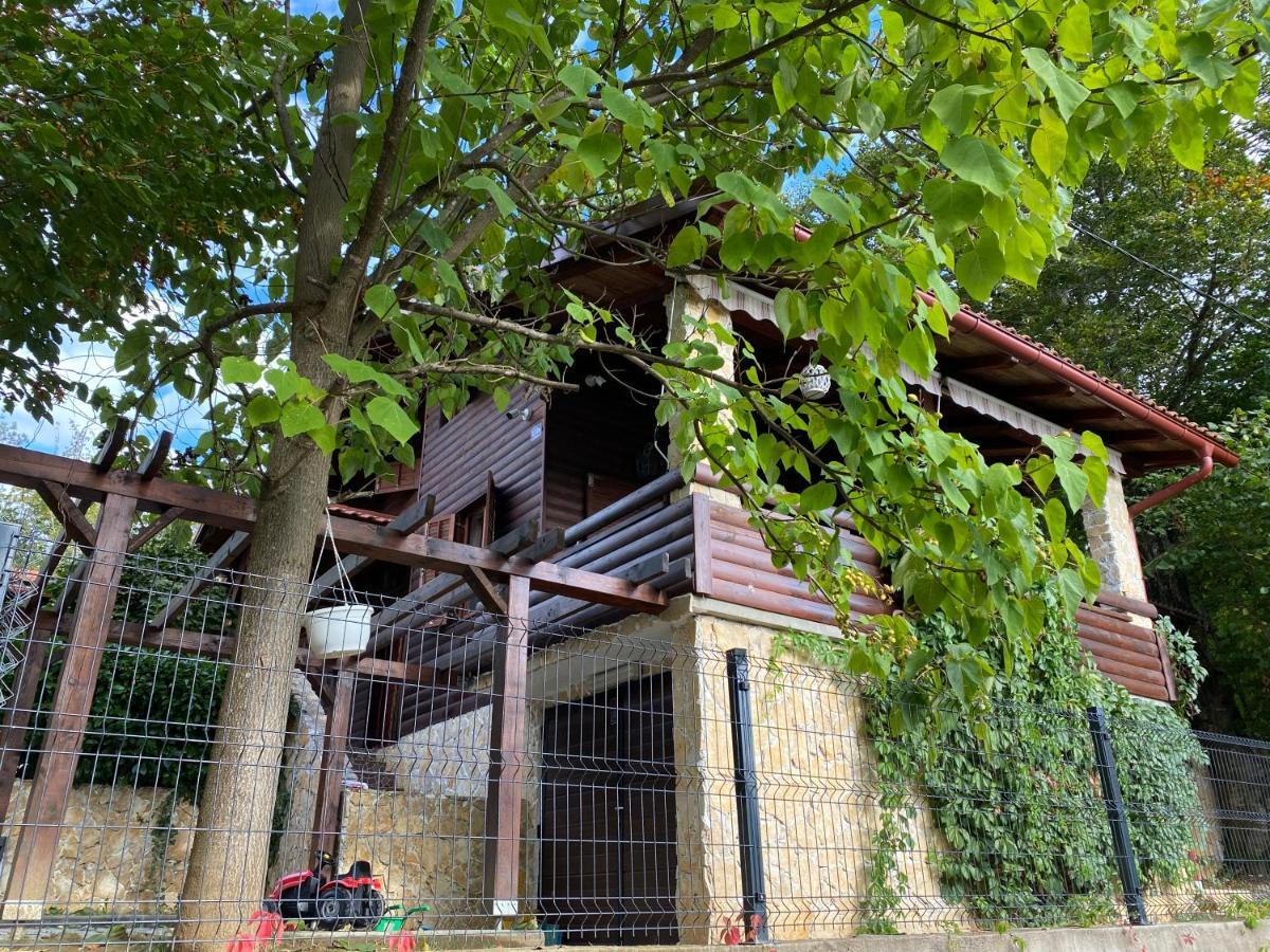 4Trees Holiday House 斯诺基 外观 照片